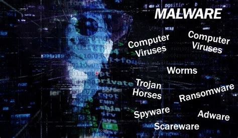 malware definition wikipedia